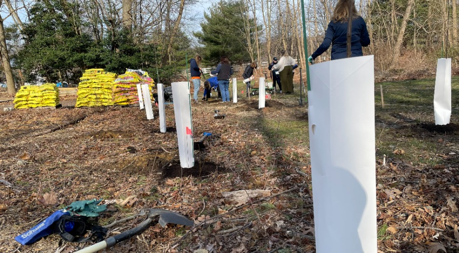 Planting Trees